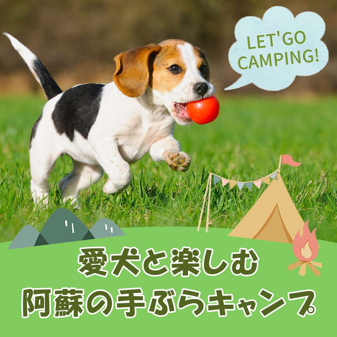 popup_banner