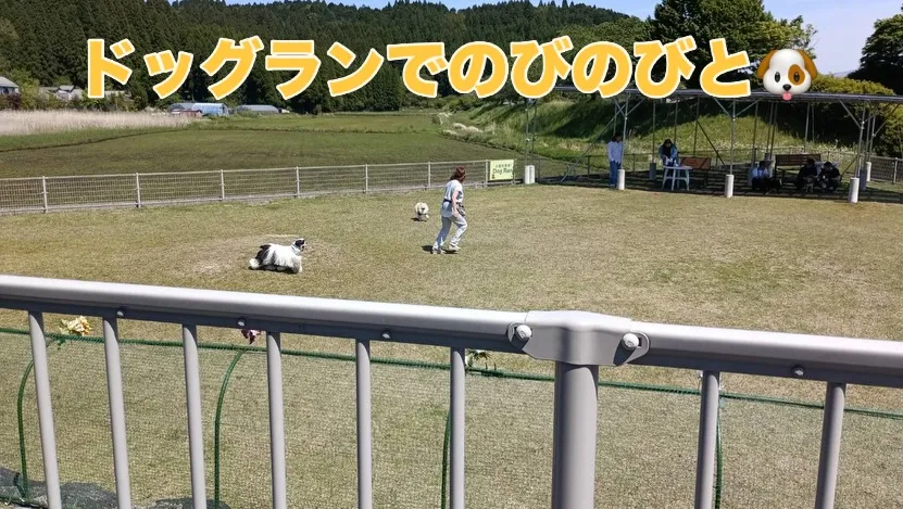#火の国ドッグランオートキャンプ場 