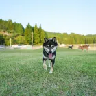 当キャンプ場の特徴