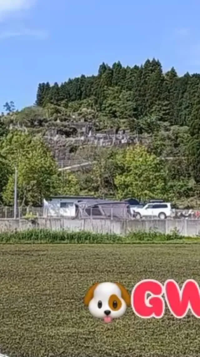 #火の国ドッグランオートキャンプ場